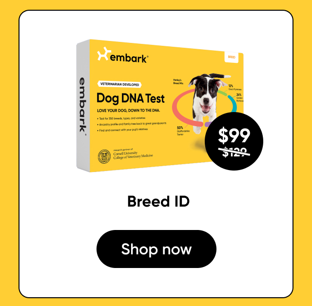 Shop Breed ID Test