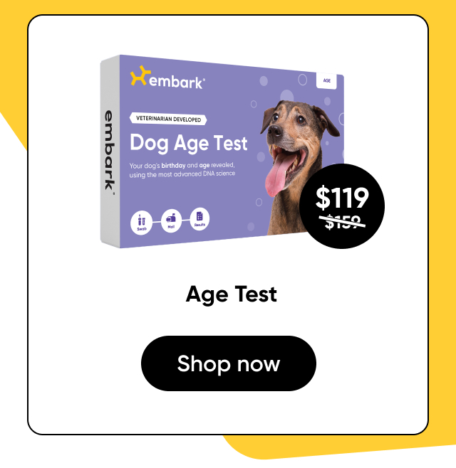 Shop Age Test