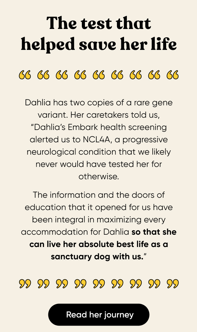 What Dahlia's DNA revealed