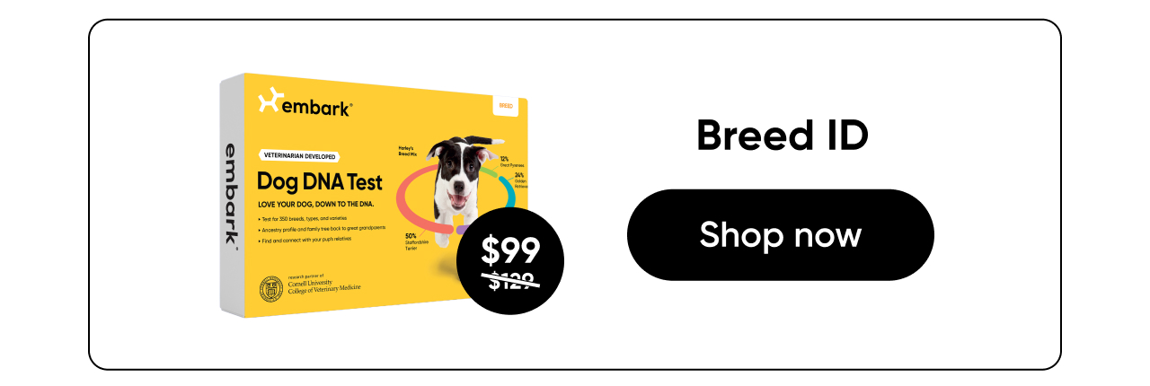 Shop Breed ID Test