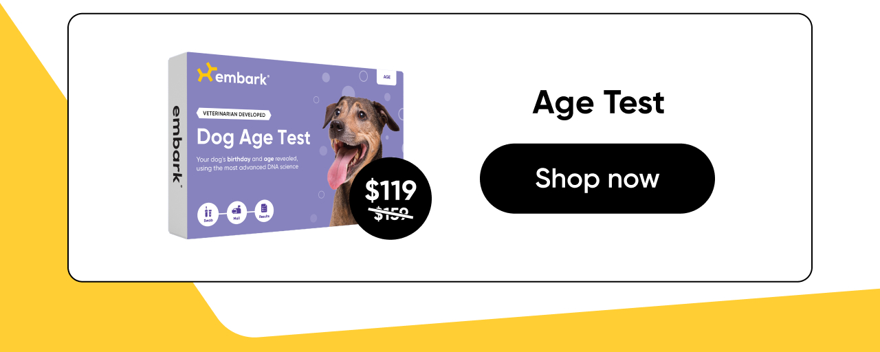 Shop Age Test