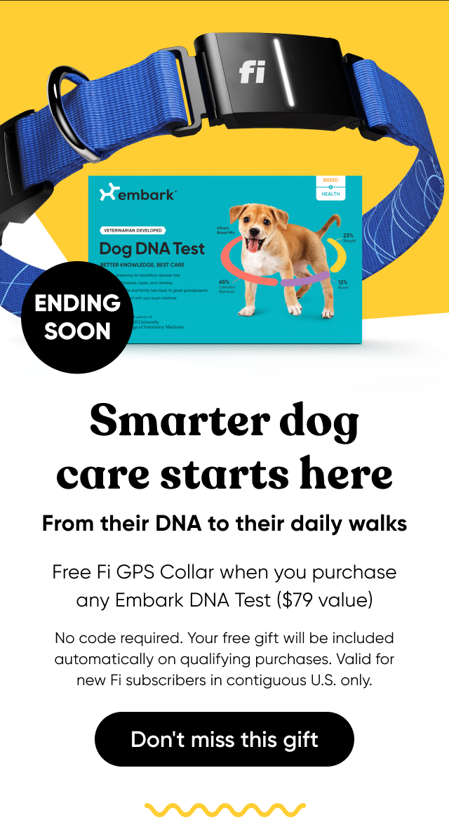 Get a Fi Collar and 3 months of GPS tracking free with every Embark DNA test order