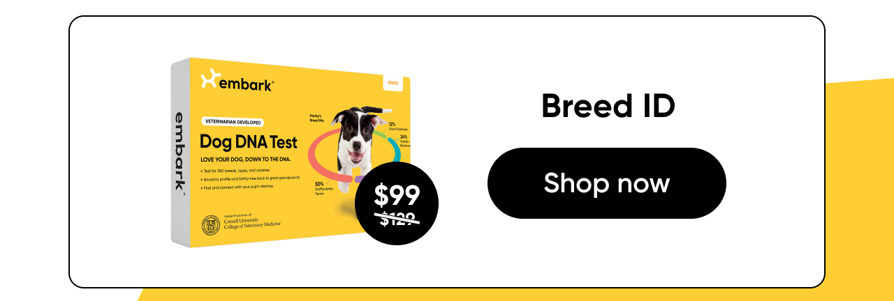 Shop Breed ID Test