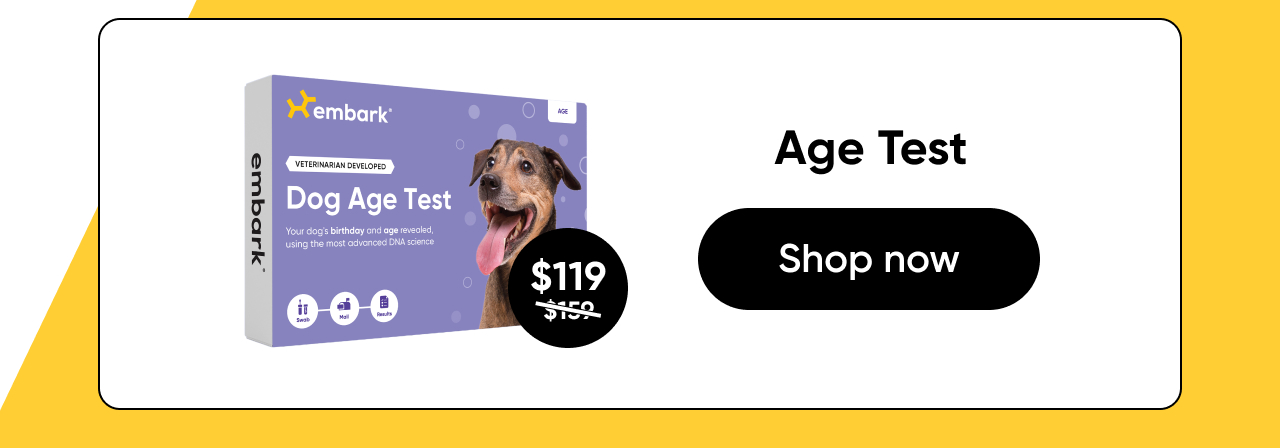 Shop Age Test