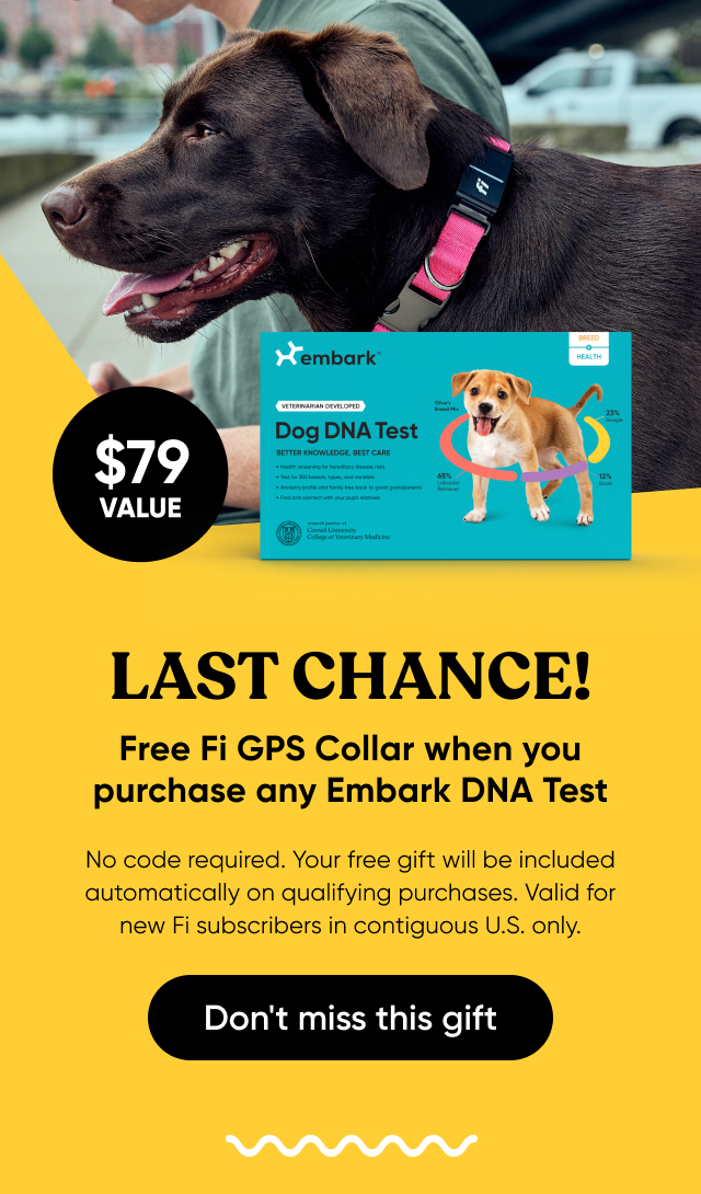 Last chance! Get a Fi Collar and 3 months of GPS tracking free with every Embark DNA test order