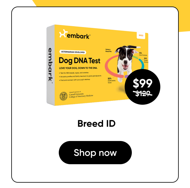 Shop Breed ID Test