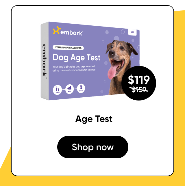 Shop Age Test