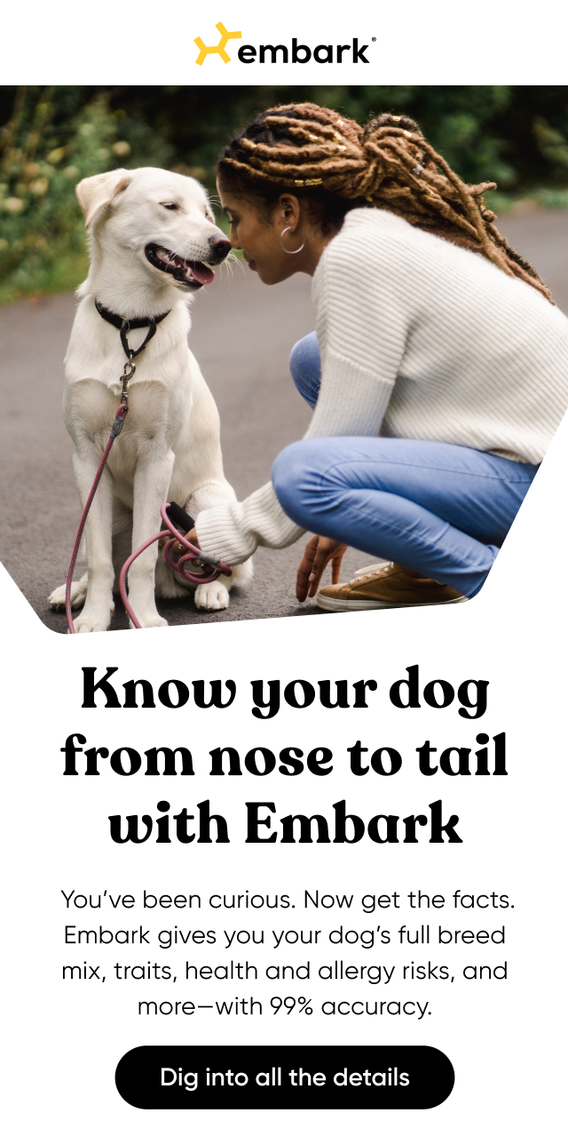 Dig into their genetic details with a Dog DNA Test