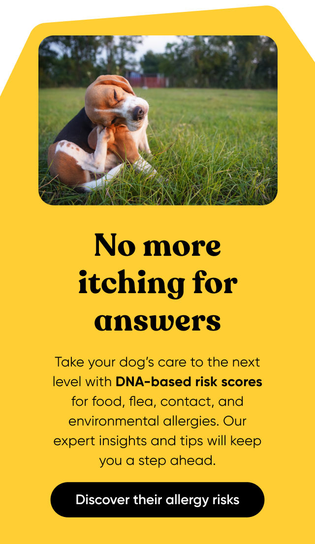 Discover their allergy risks with a Dog DNA Test