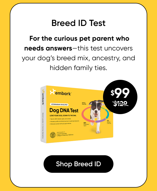 Shop Breed ID Test