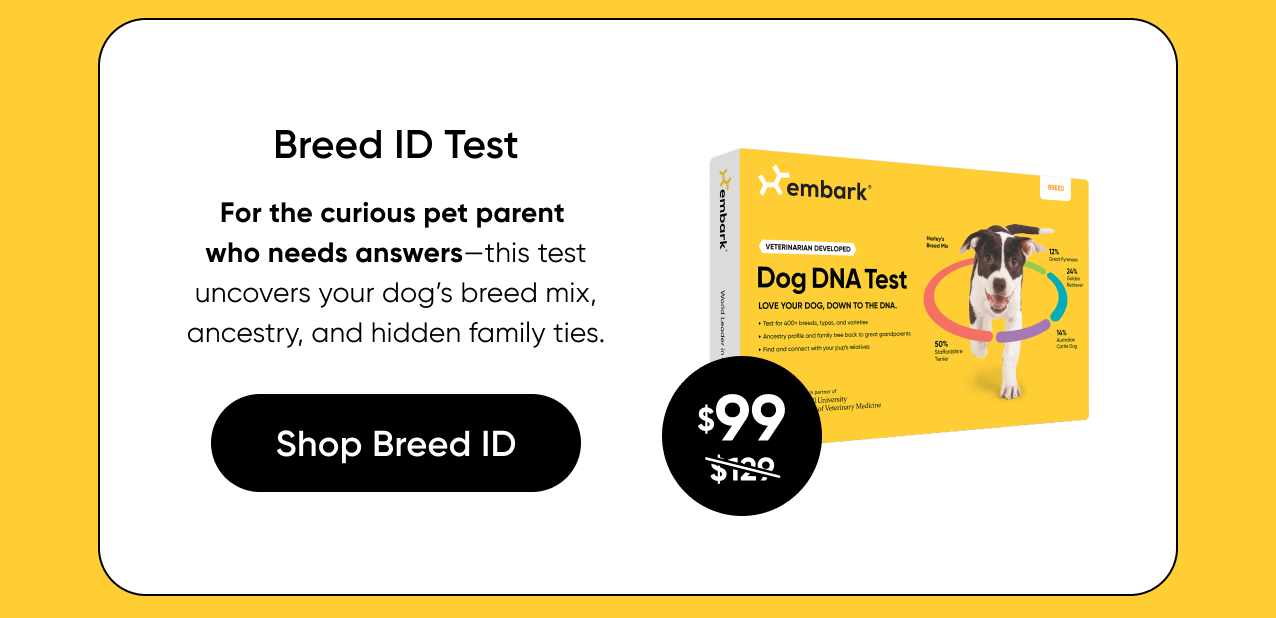 Shop Breed ID Test