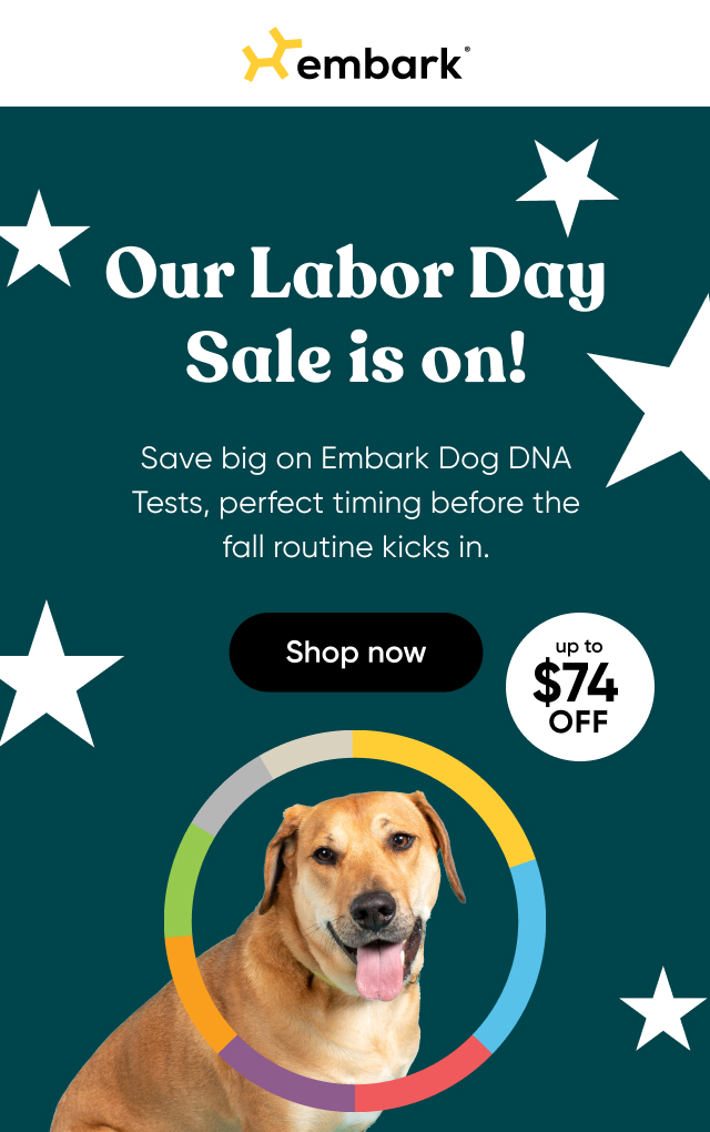 Uncover your dog's story