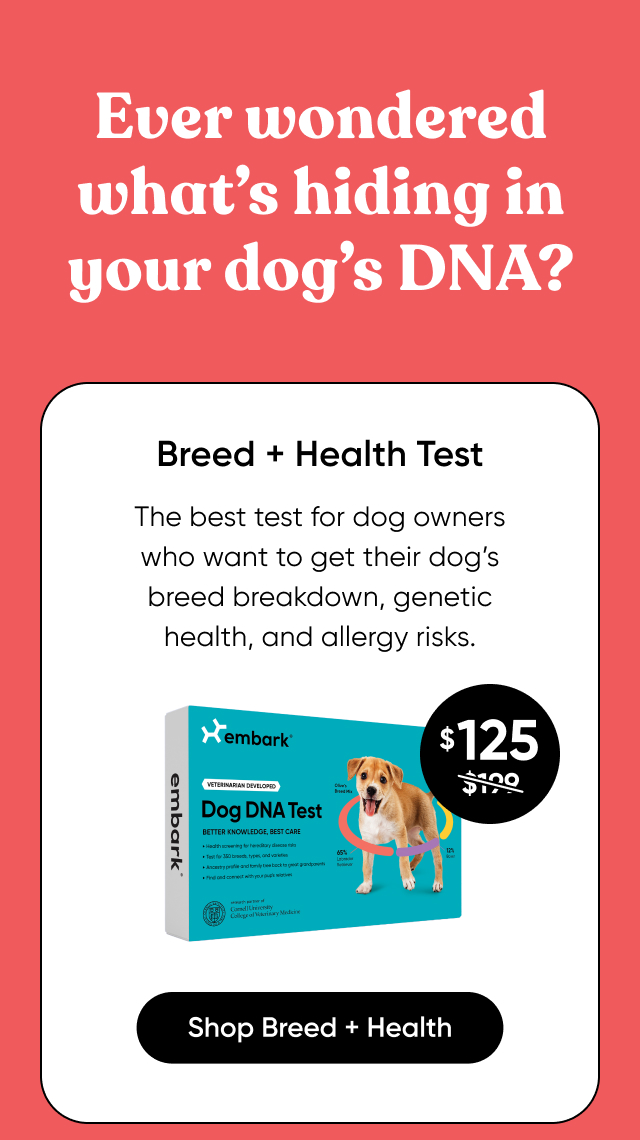 Shop Breed + Health Test