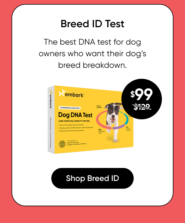 Shop Breed ID Test