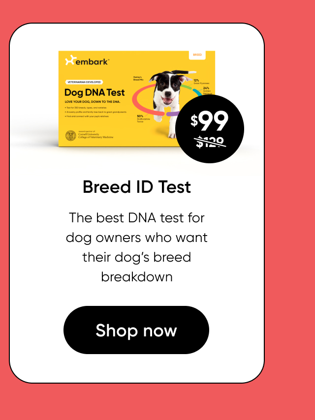 Shop Breed ID Test