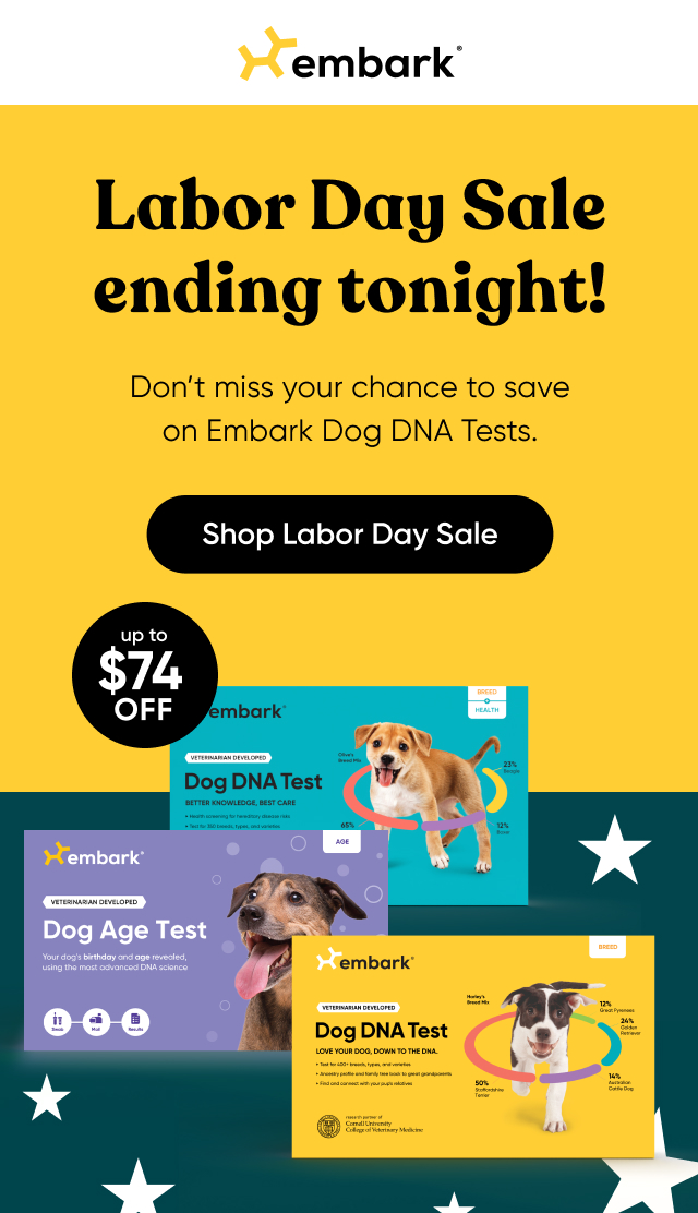 Uncover your dog's story