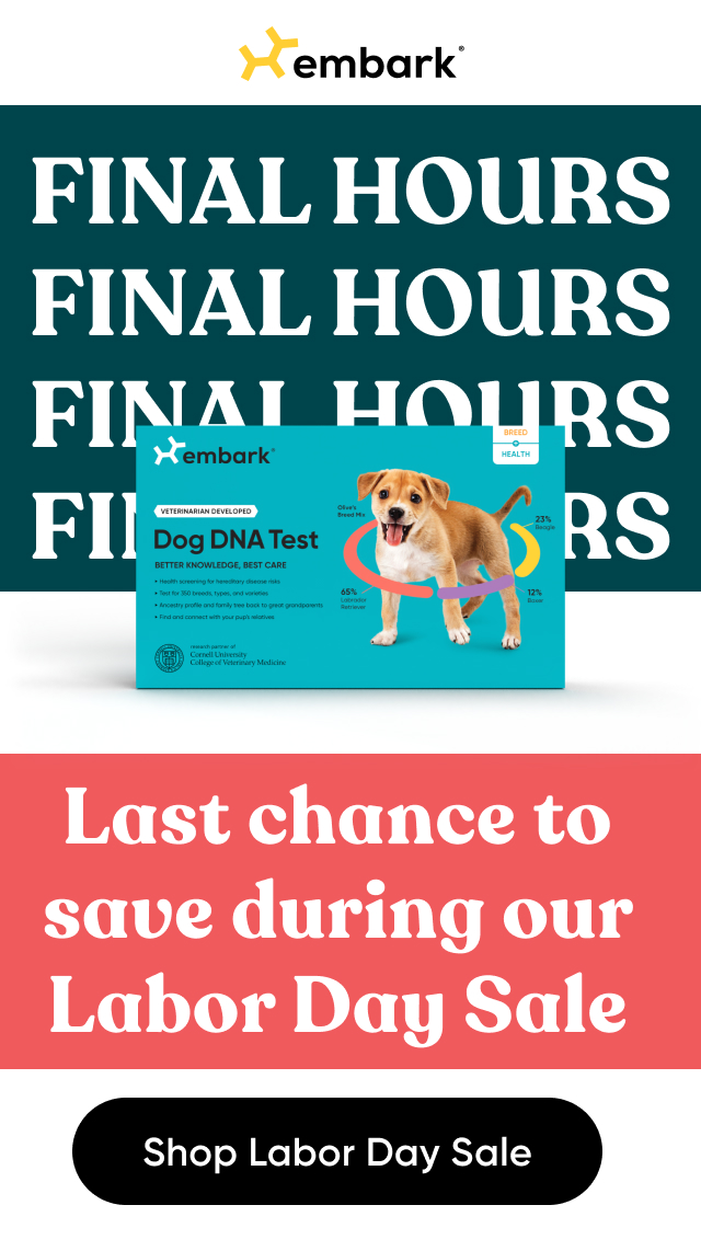 Uncover your dog's story