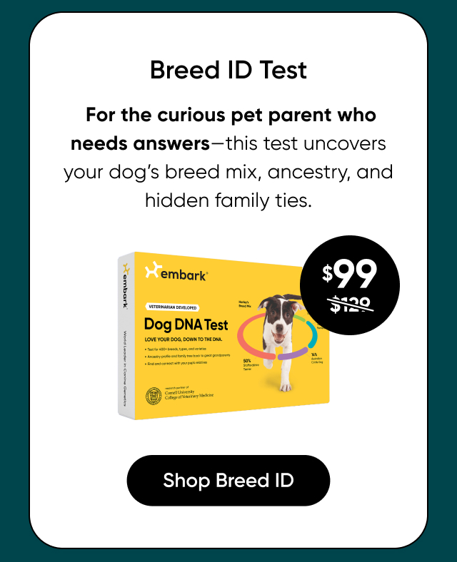 Shop Breed ID Test