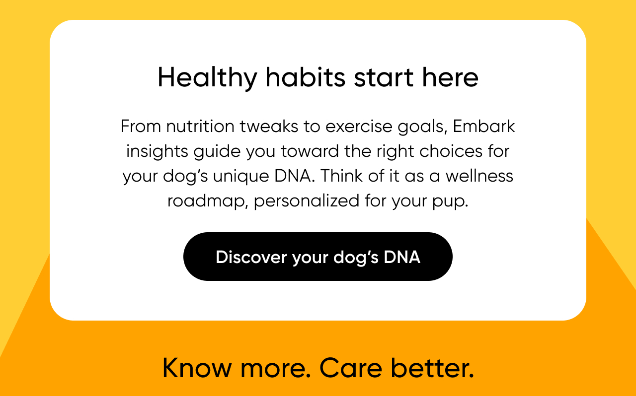Embark insights guide you toward the right choices for your dog's unique DNA.