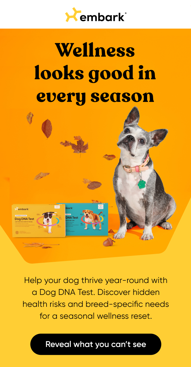 Help your dog thrive year-round with a Dog DNA Test.
