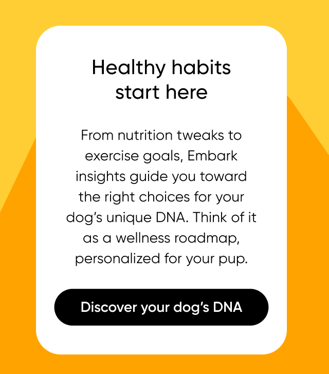 Embark insights guide you toward the right choices for your dog's unique DNA.