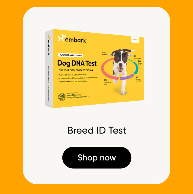 Shop Breed ID Test