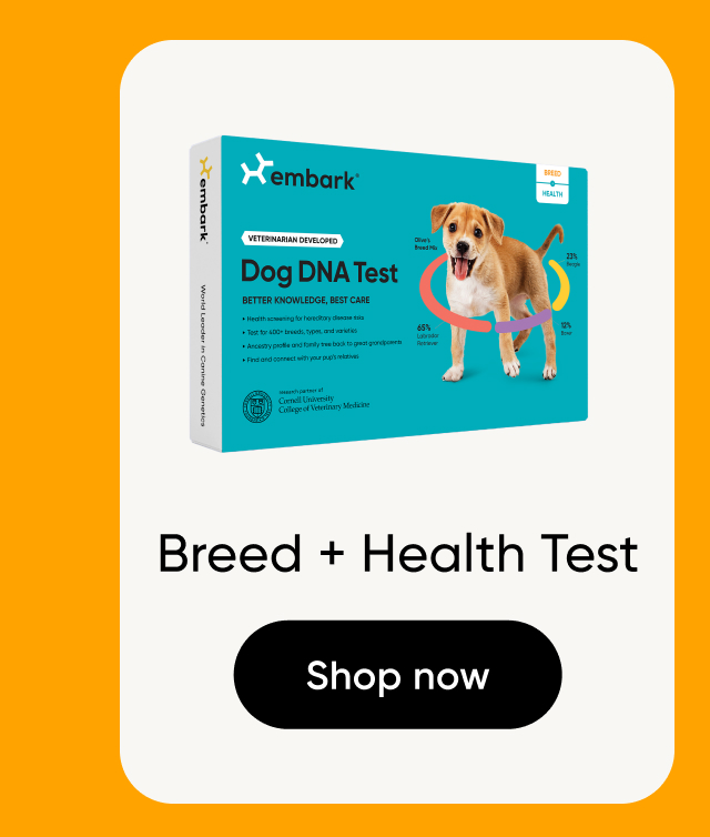 Shop Breed + Health Test