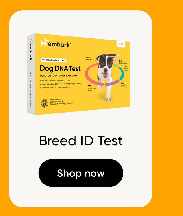 Shop Breed ID Test