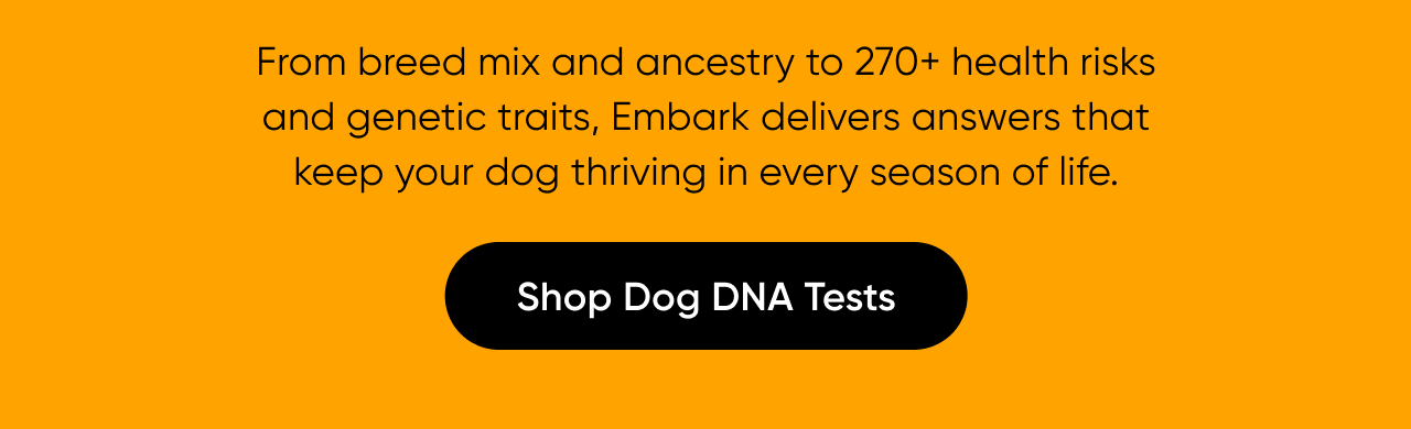Help your dog thrive year-round with a Dog DNA Test.