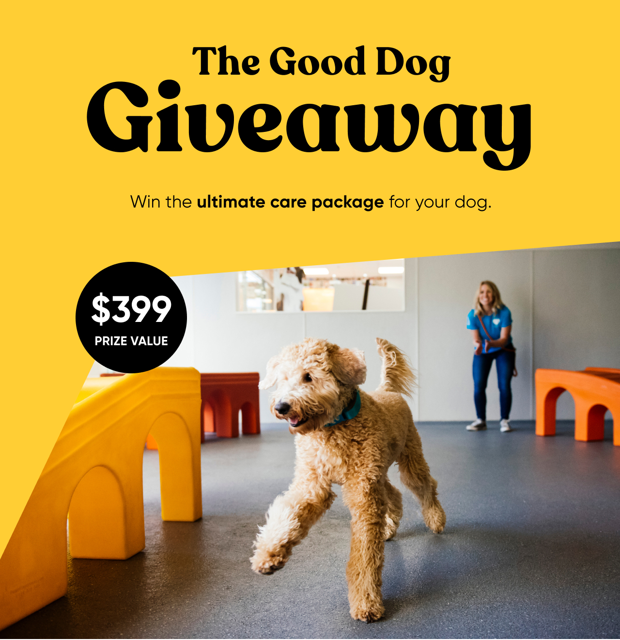 Win the ultimate care package for your dog