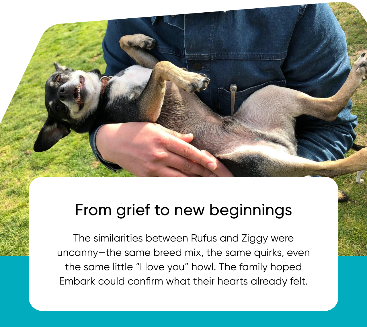 Read Rufus and Ziggy's story