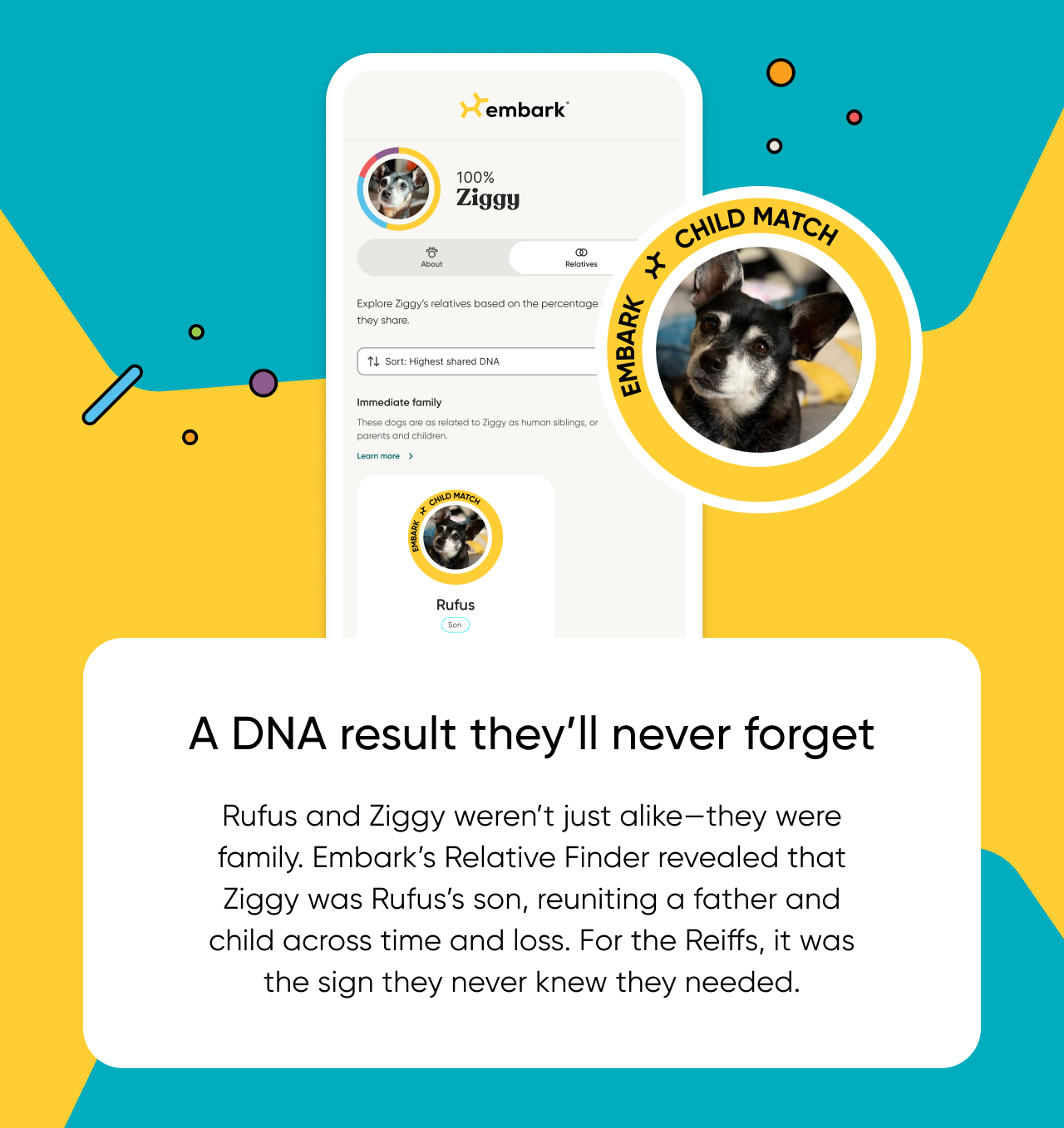 Embark's Relative Finder revealed that Ziggy was Rufus's son, reuniting a father and child across time and loss.