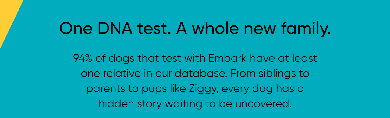94% of dogs that test with Embark have at least one relative in our database
