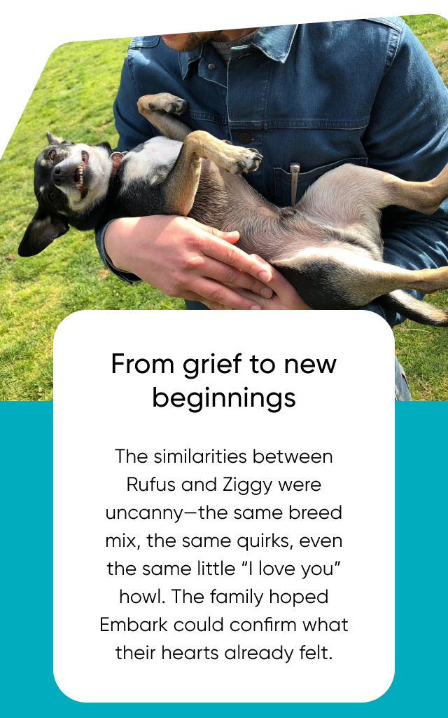 Read Rufus & Ziggy's story