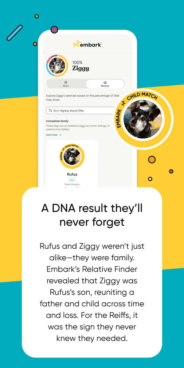 Embark's Relative Finder revealed that Ziggy was Rufus's son, reuniting a father and child across time and loss.