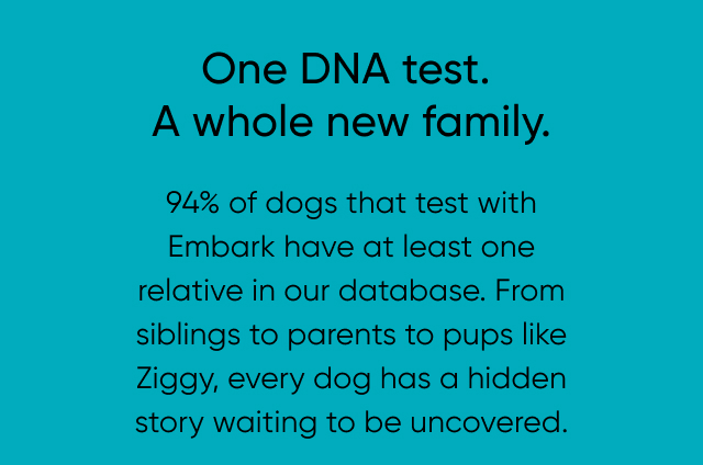 94% of dogs that test with Embark have at least one relative in our database