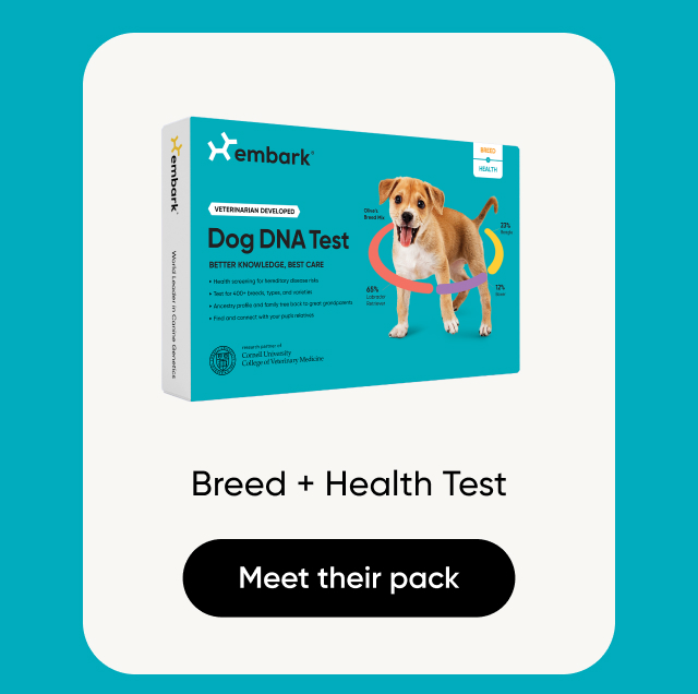 Shop Breed + Health Test