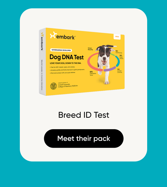 Shop Breed ID Test