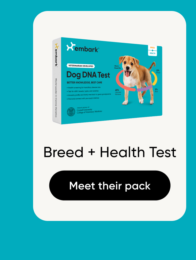 Shop Breed + Health Test