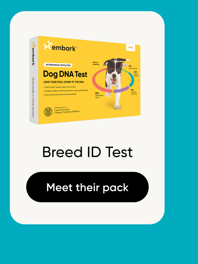 Shop Breed ID Test
