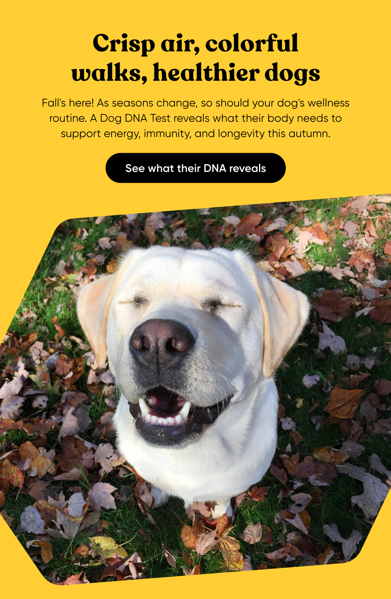 See what their DNA reveals