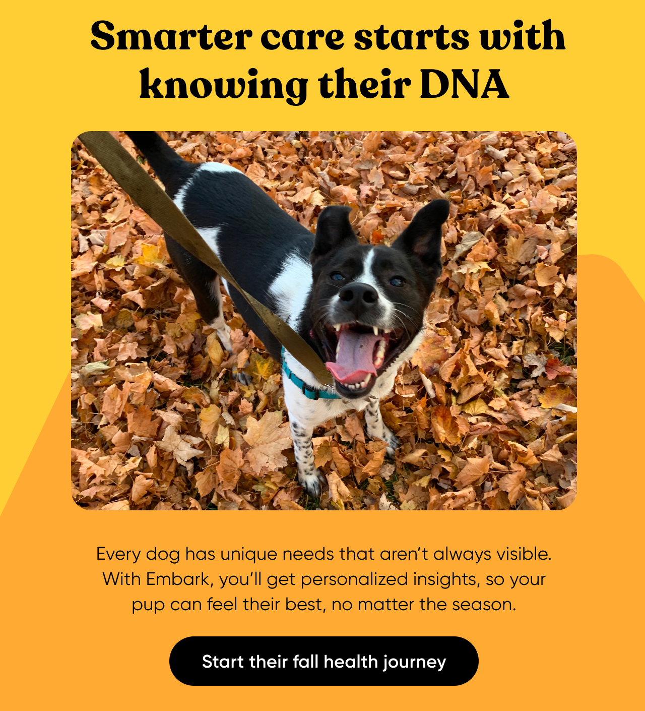 Start their fall health journey