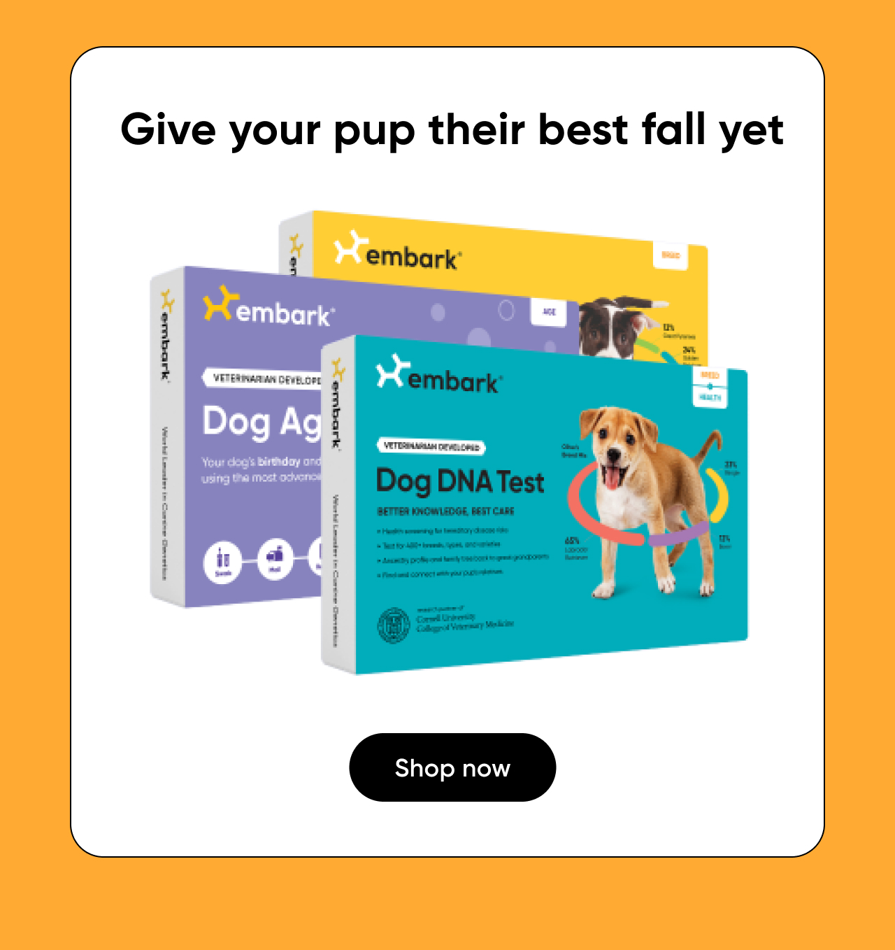 Give your pup their best fall yet by uncovering their DNA
