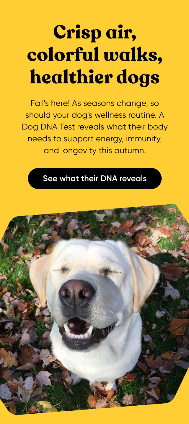 See what their DNA reveals