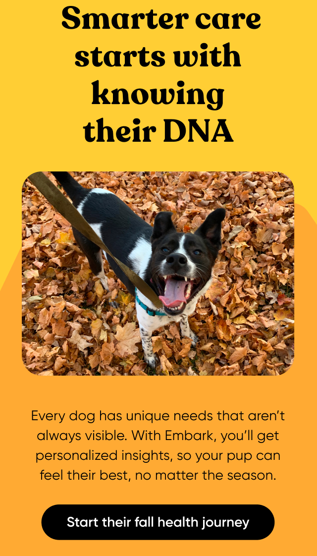 Start their fall health journey