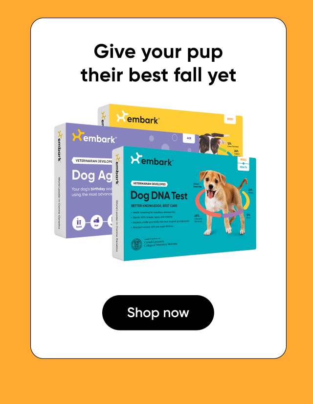 Give your pup their best fall yet by uncovering their DNA