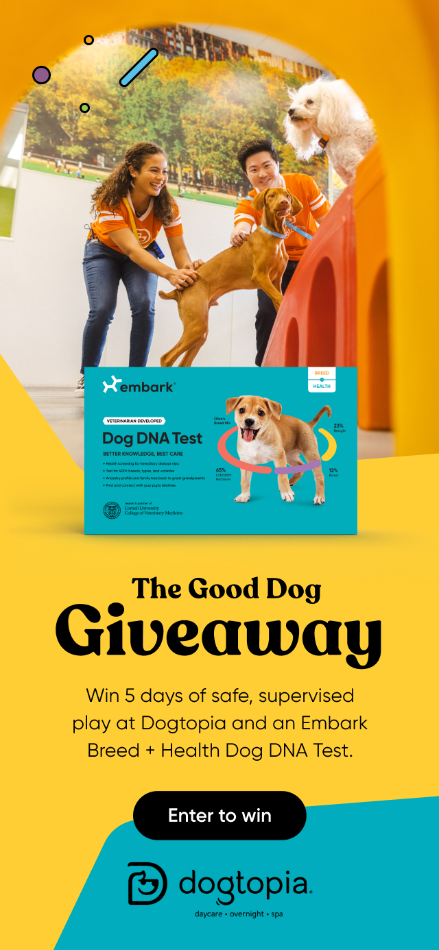 Win 5 days of safe, supervised play at Dogtopia and an Embark Breed + Health Dog DNA Test