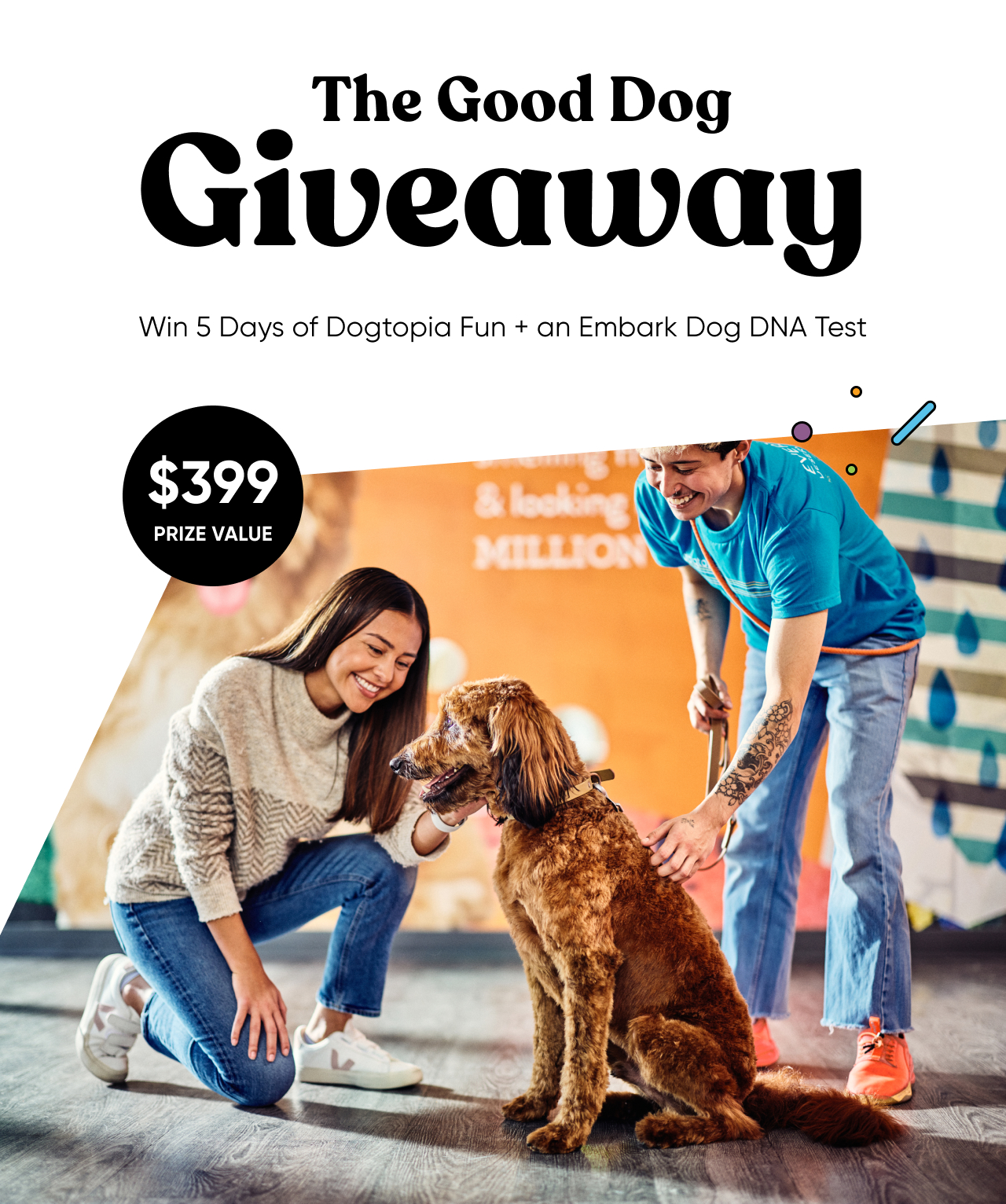 Last chance to enter the Good Dog Giveaway