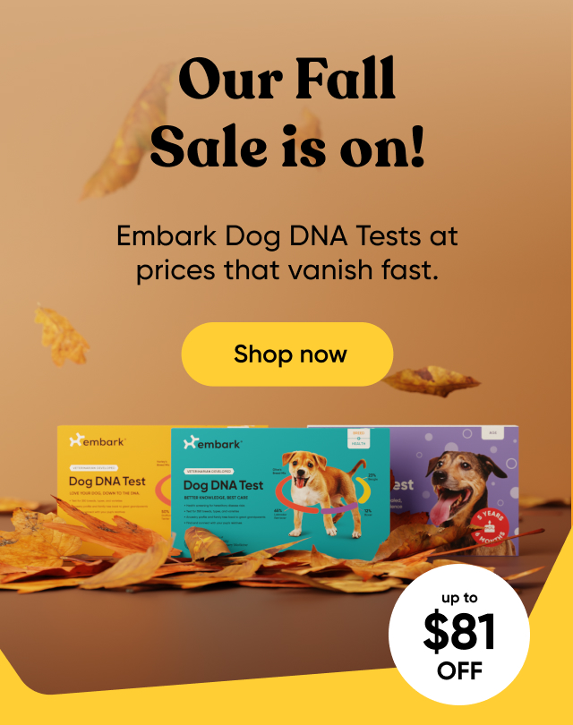 Our Fall Sale is on!