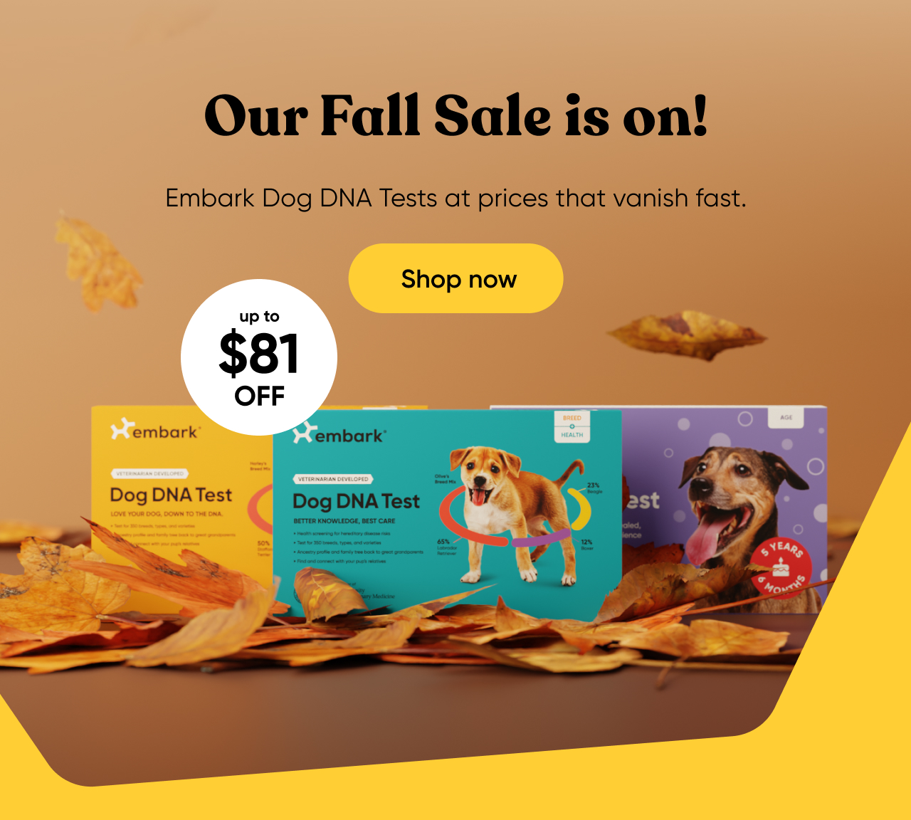 Our Fall Sale is on!